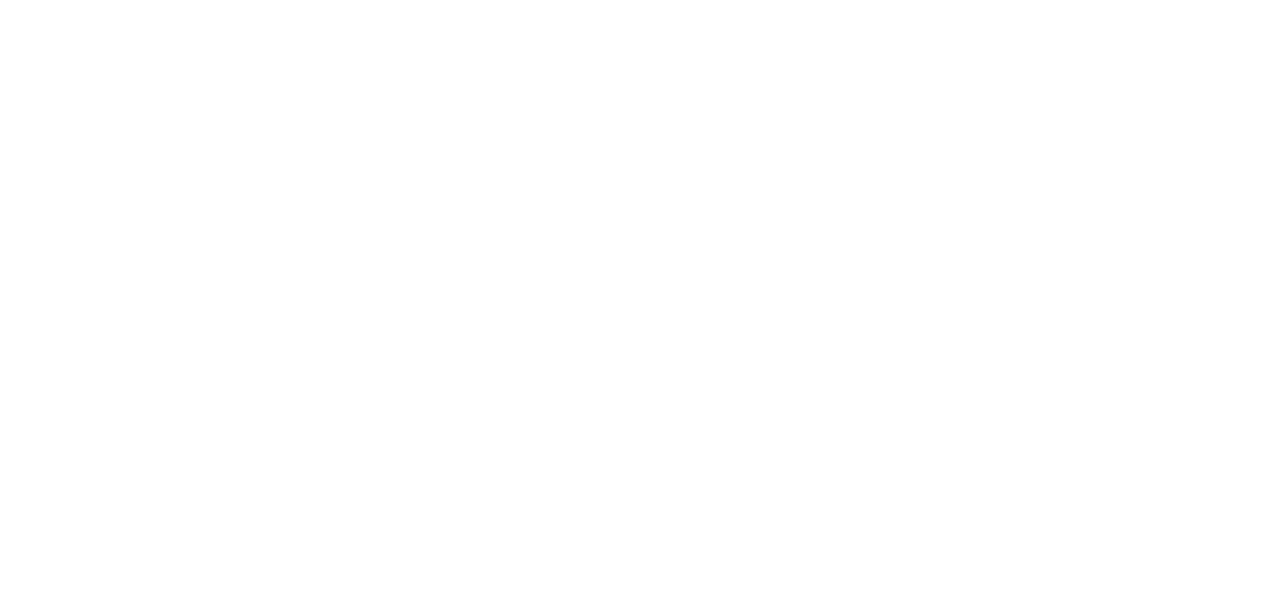 Schwindt WEIss-V